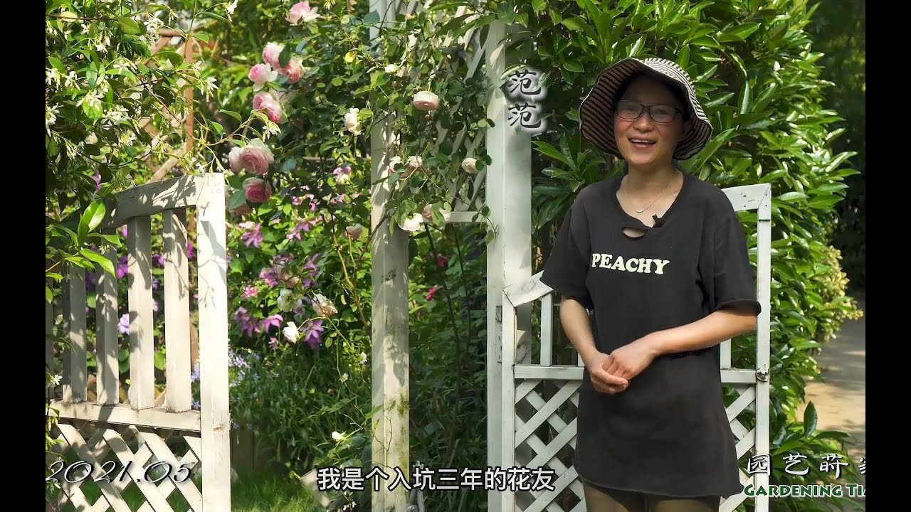 范范介绍自家小花园【小时间，大园艺】