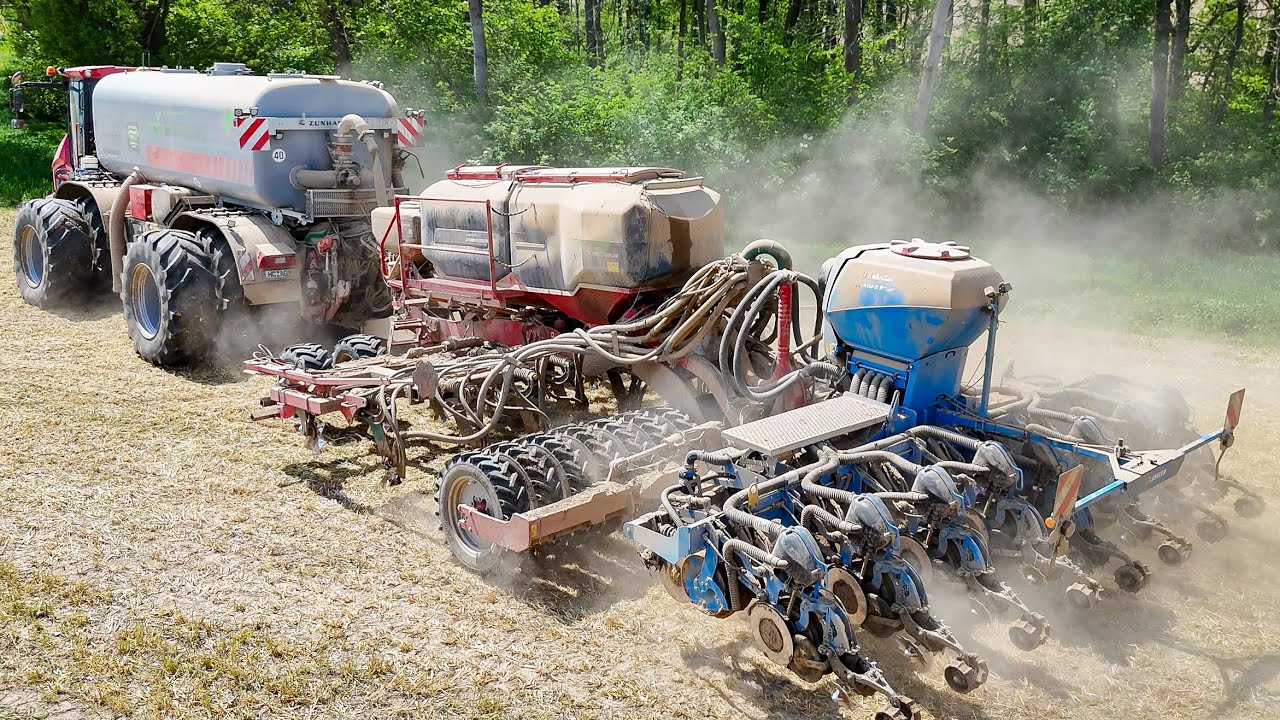 Striptill Maisaussaat  mit  Holmer Terra Variant 650, Horsch Focus TD, Lemken Azurit
