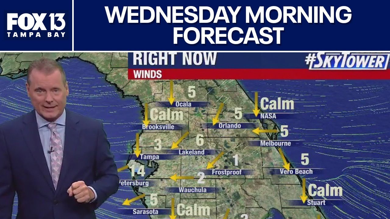 Tampa Weather | Wednesday morning forecast