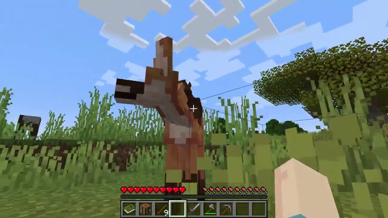 Minecraft  hayvanat bahçesi bölün 1