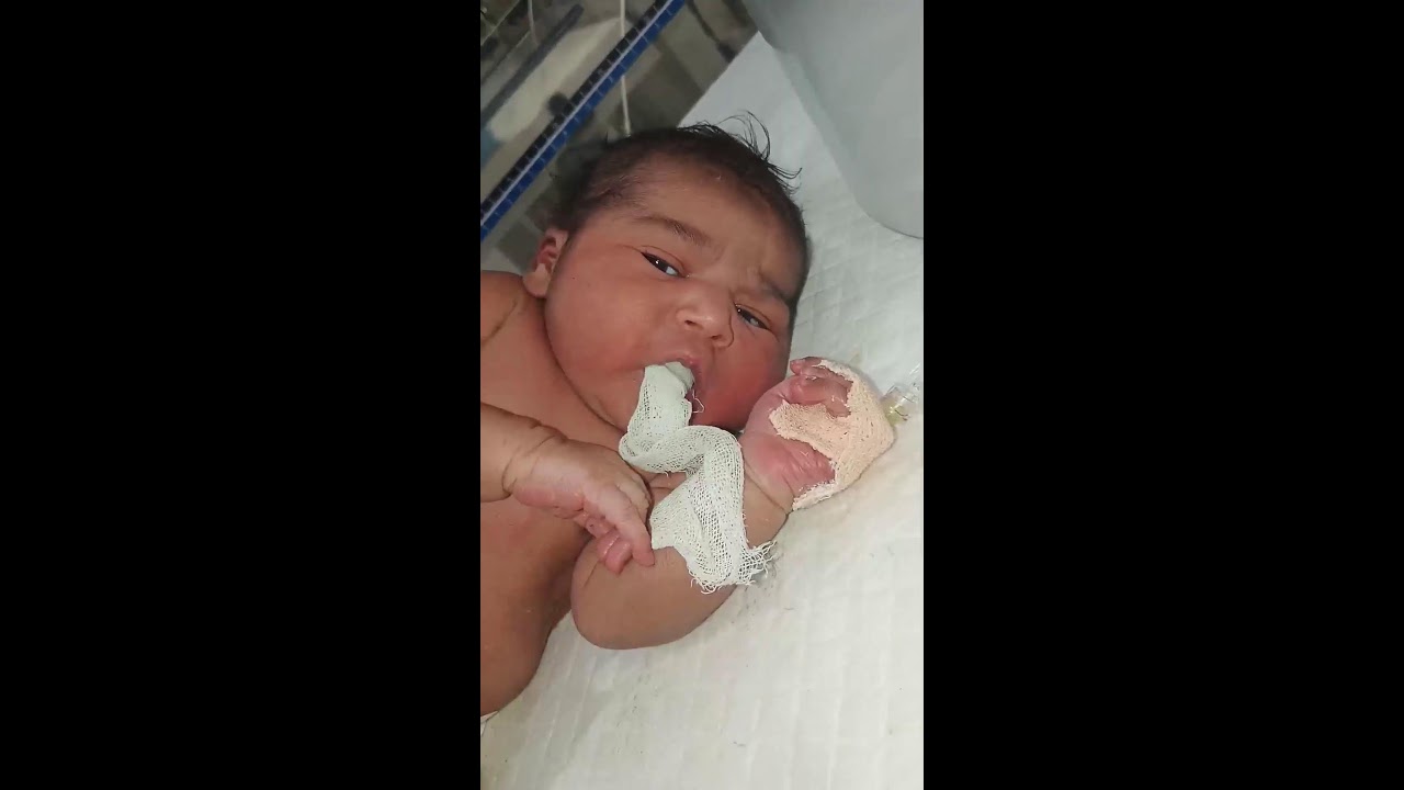 Medicalstudent4913 Live Stream