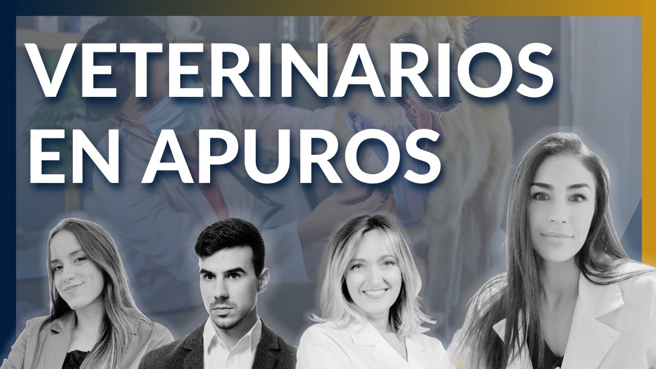 La crisis silenciosa de los veterinarios: ansiedad, depresión y suicidio en aumento