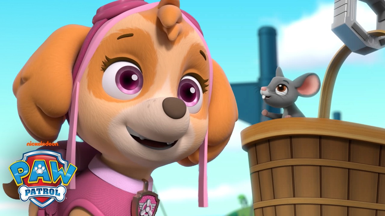 Skye Saves a TINY Mouse! | PAW Patrol | Skye and Friends