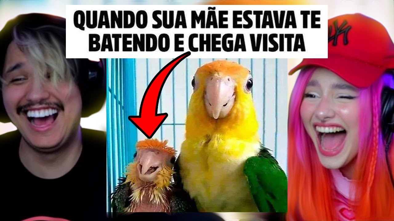 Os MEMES mais SEM SENTIDO da INTERNET kkkkkkkkkkkk