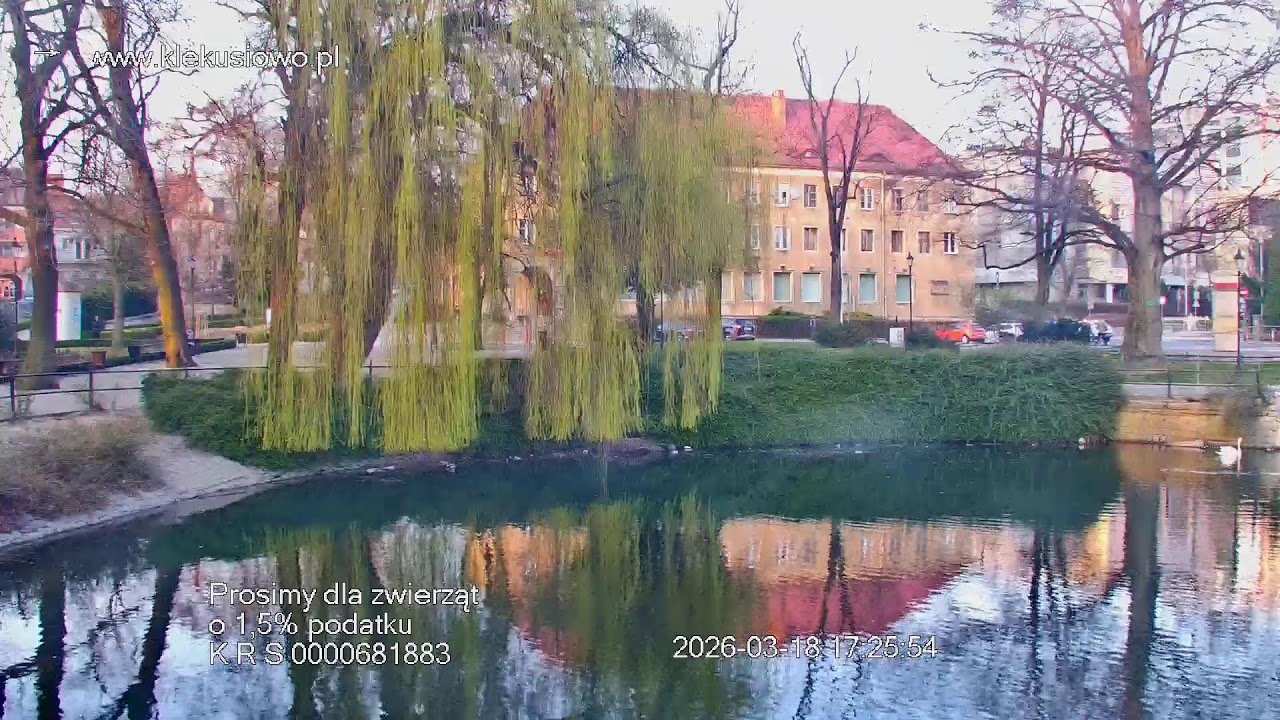 Staw miejski Bolesławiec  -Kamera 5