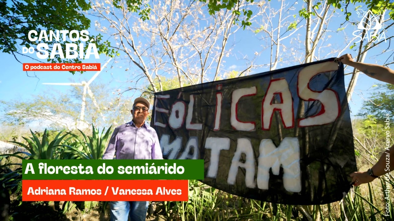 A floresta do semiárido - Cantos do Sabiá