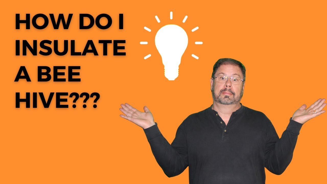 Best Winter Hive Insulation?  You will be surprised at Ray's answer!