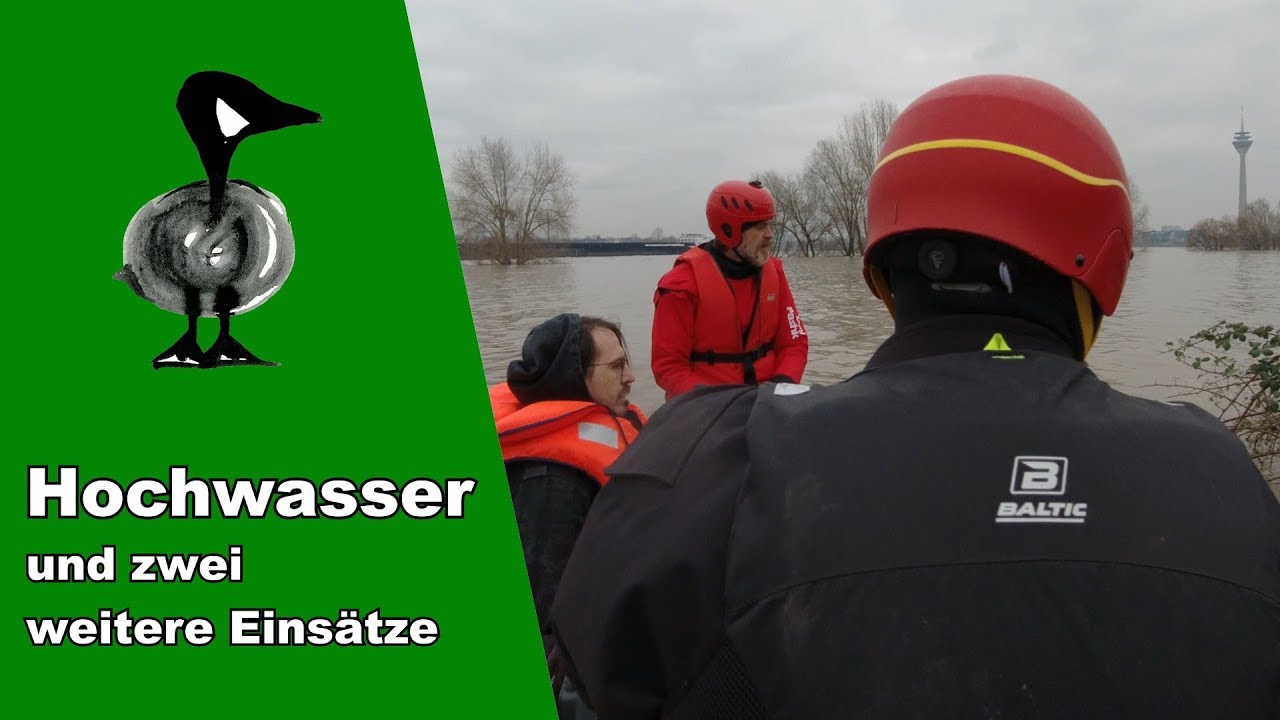 Hochwasser und zwei weitere Einsätze - Tiernotruf #242