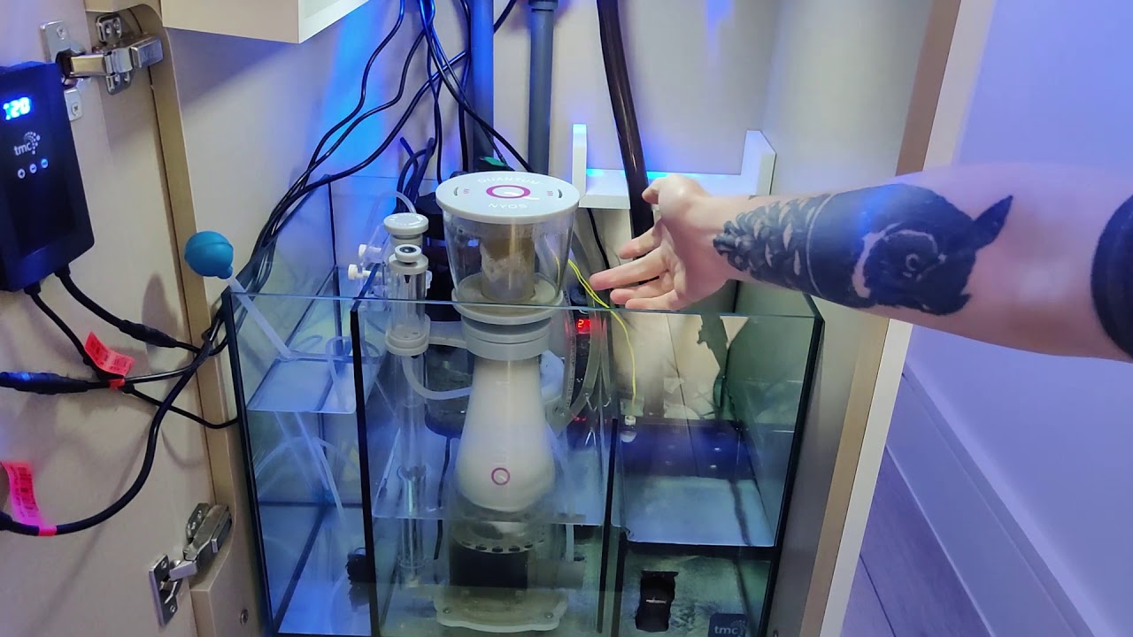 NYOS Quantum 120 Update and 2 week review