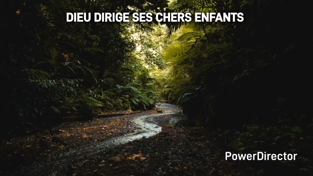 Dieu dirige ses chers enfants | instrumentale 