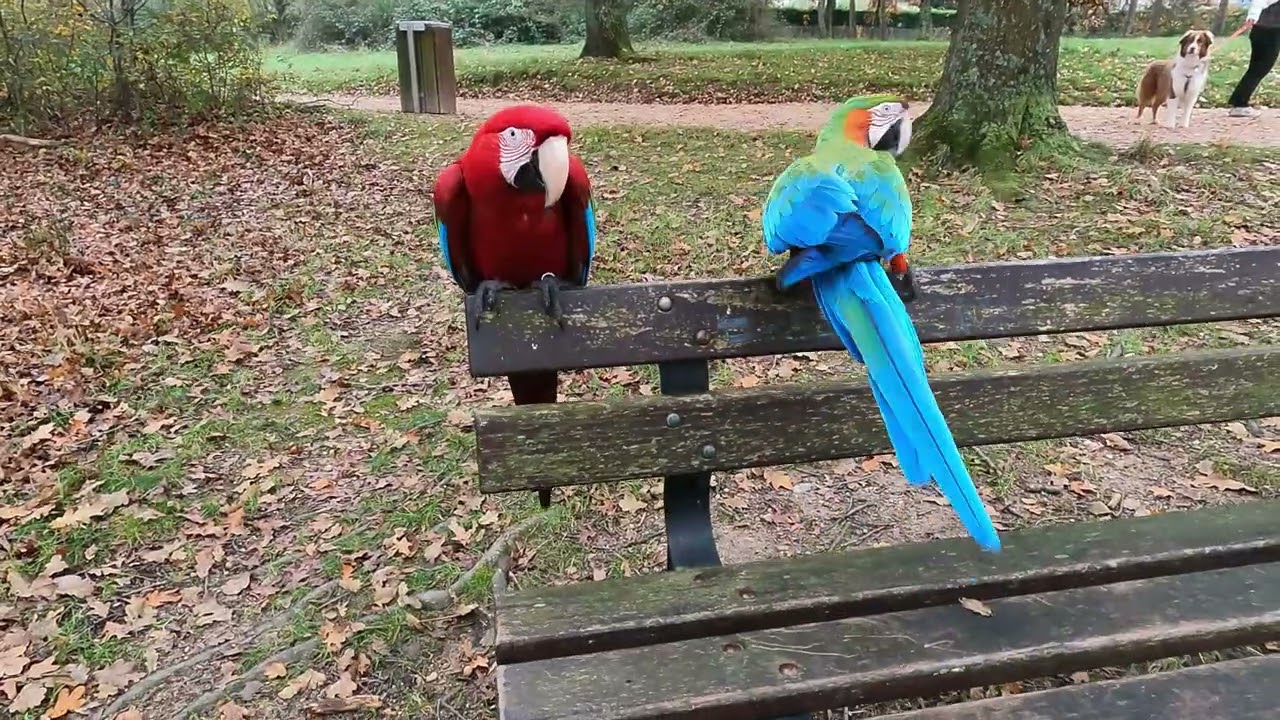Tiago et Tina au parc