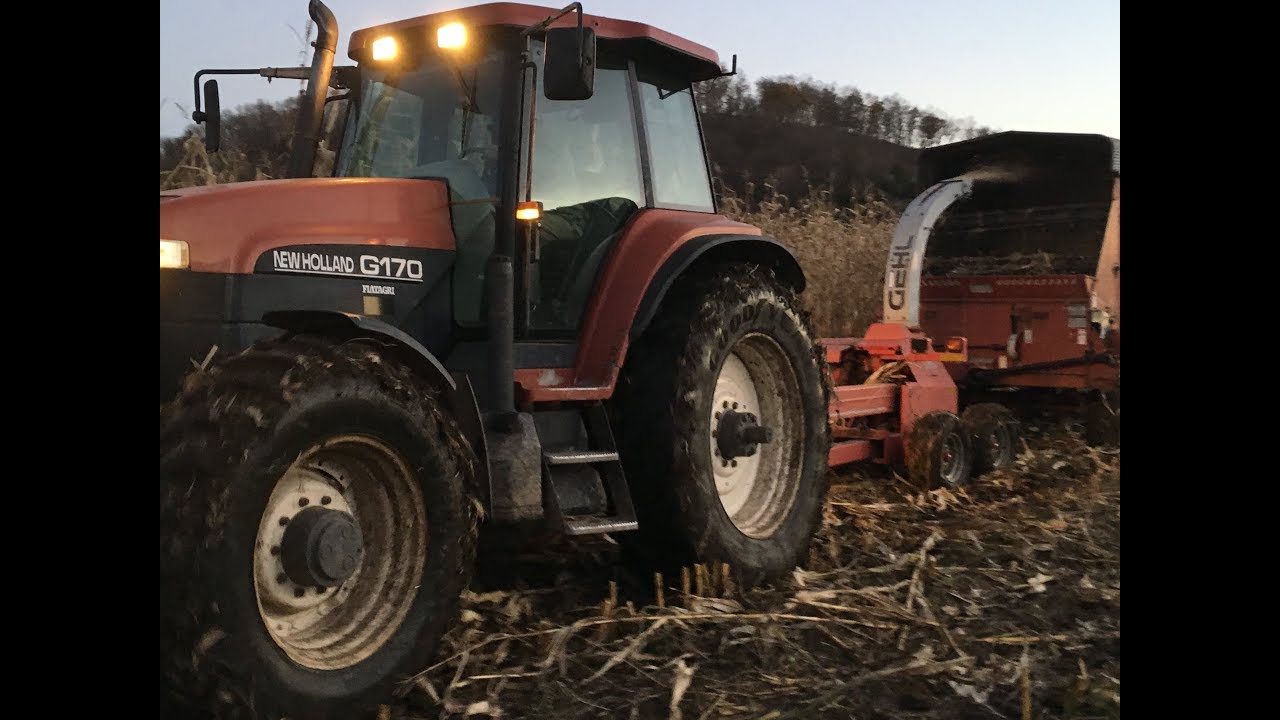 Chopping Corn Silage on an Organic Dairy Farm in Wisconsin