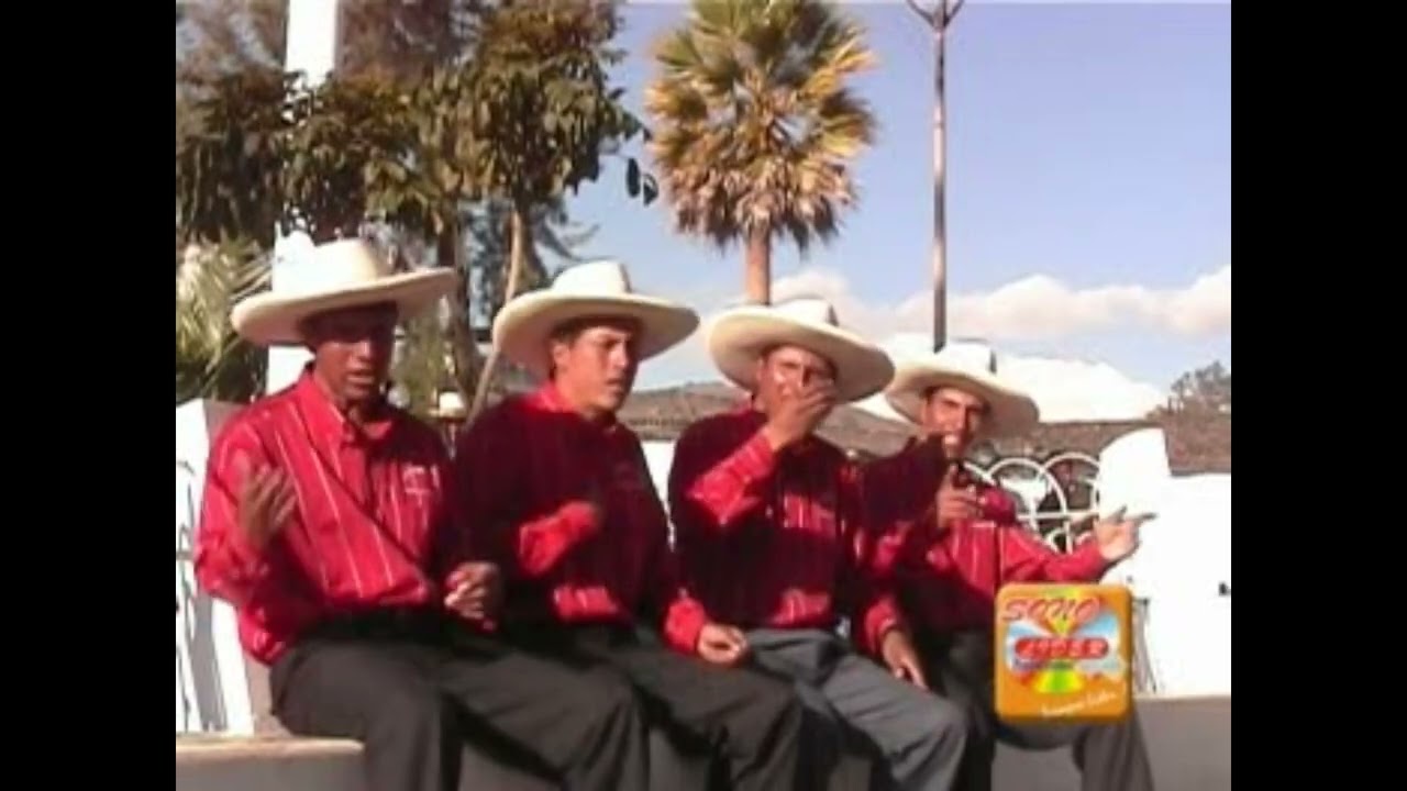 Banda Tipica Los Picaflores del Amor Santa Rosa Huasmin_ El Picaflor Video Official