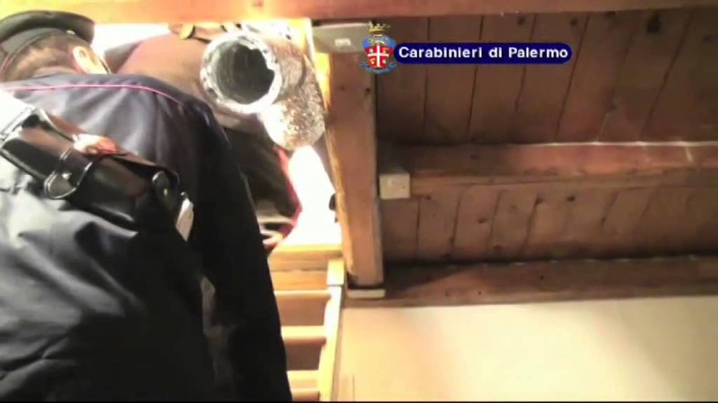 Palermo, piantagione di marijuana in casa: due arresti