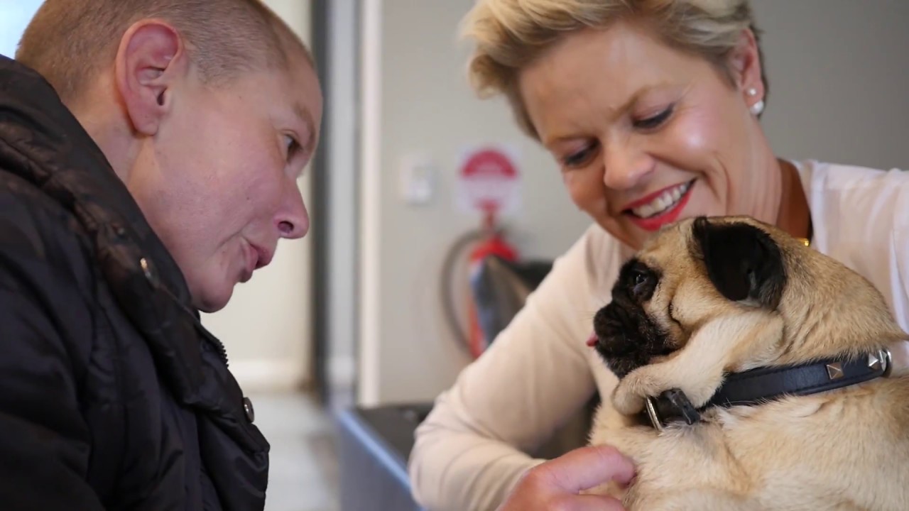 The Essence of SACARE