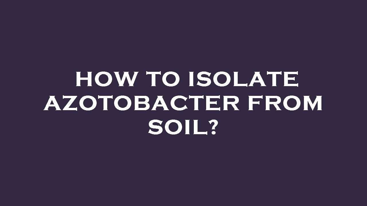 How to isolate azotobacter from soil?