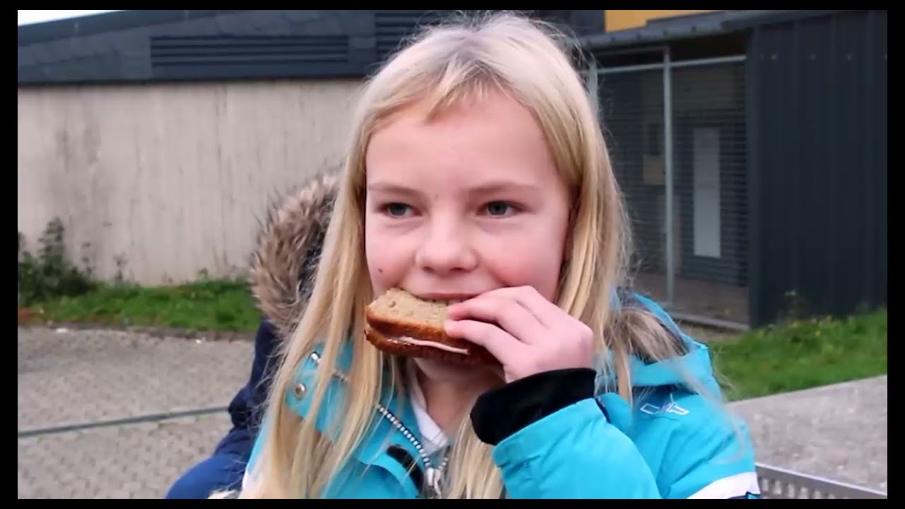Konrad-Adenauer-Schule (Realschule) Treis-Karden| Knorrwerbung