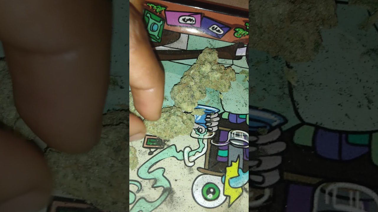 REVIEW SNOWMAN STRAIN⛄ 🔥🔥🔥