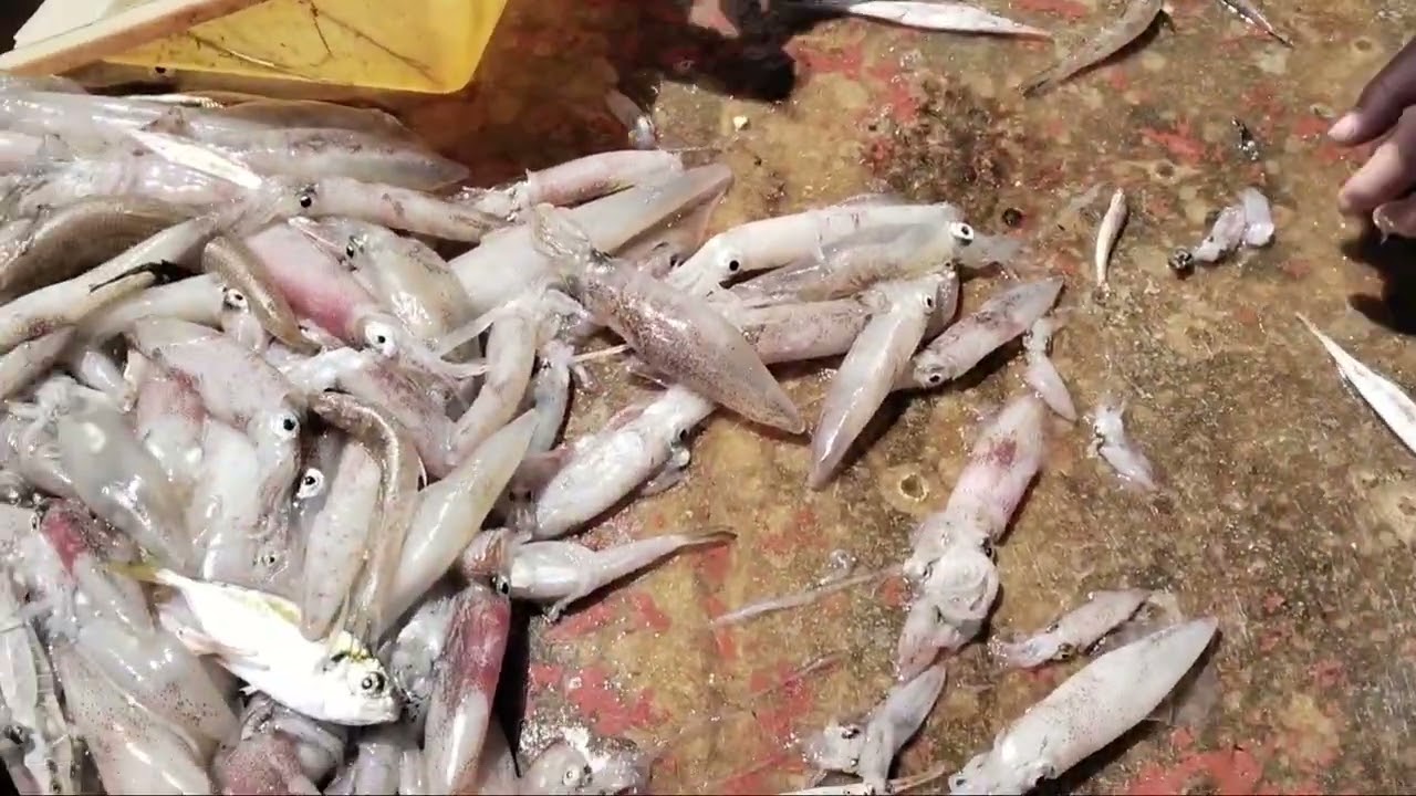 Những Giã Cào Ngày Đầu Tiên Và Doanh Thu Ra Sao .