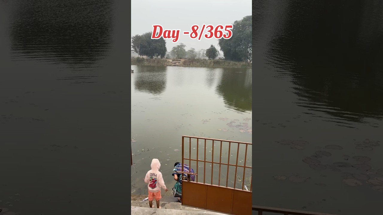 Day -8/365 mehendi function 