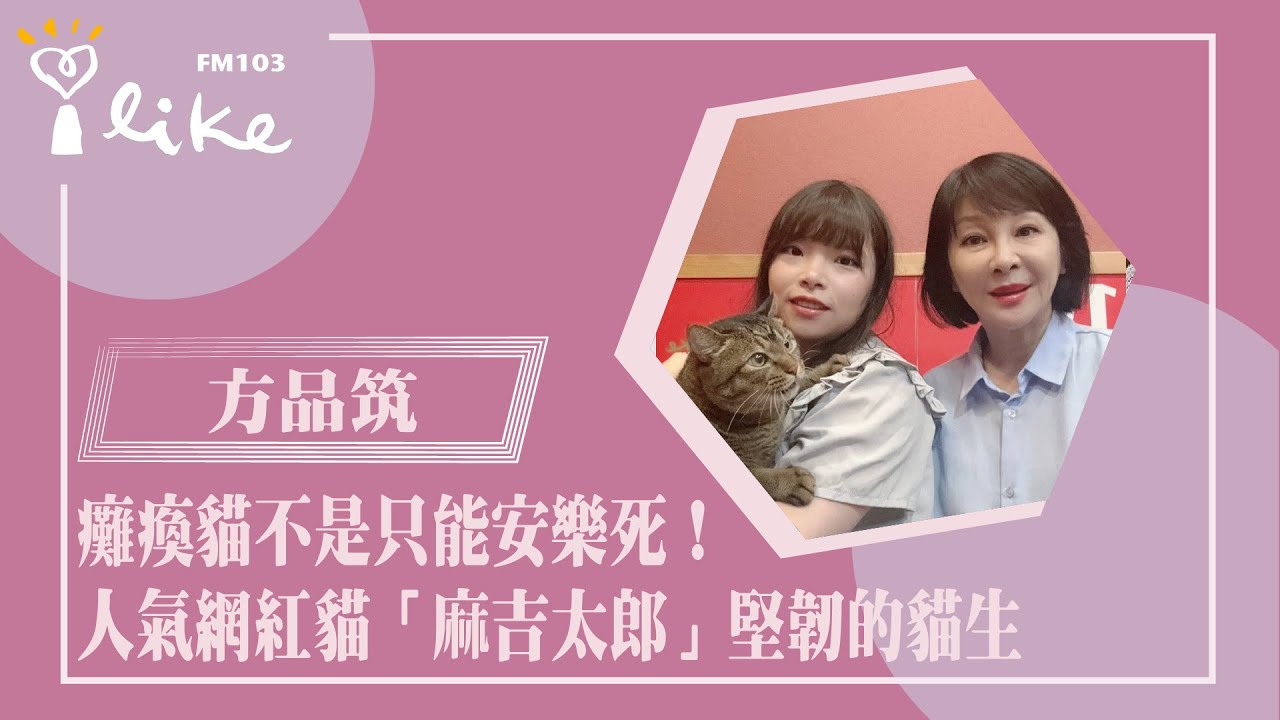 【癱瘓貓不是只能安樂死！人氣網紅貓「麻吉太郎」堅韌的貓生】專訪 方品筑 (麻吉媽) ｜幸福好時光 2024.09.03