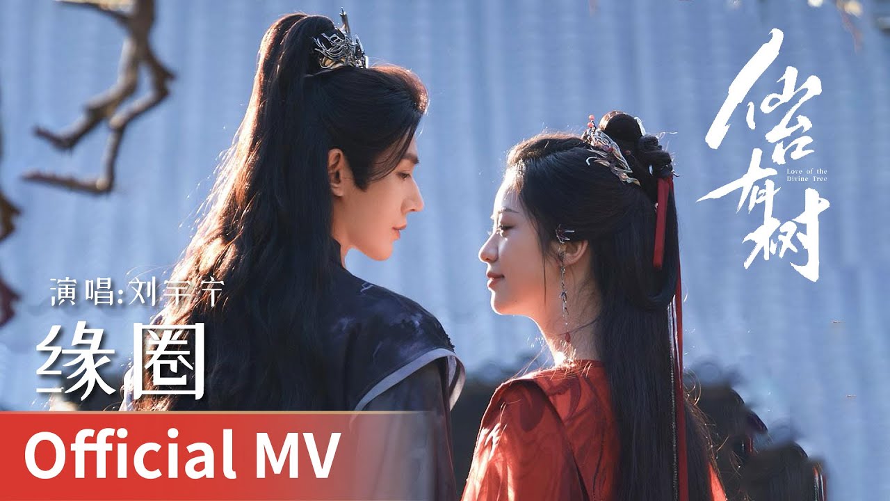 【Official MV】｜《缘圈》 by Liu Yuning #刘宇宁 #liuyuning #cdrama #ost