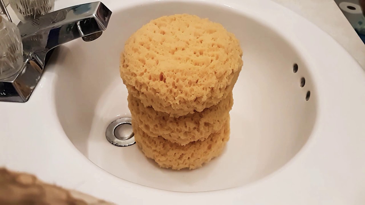 Pinesol w new bath sponges
