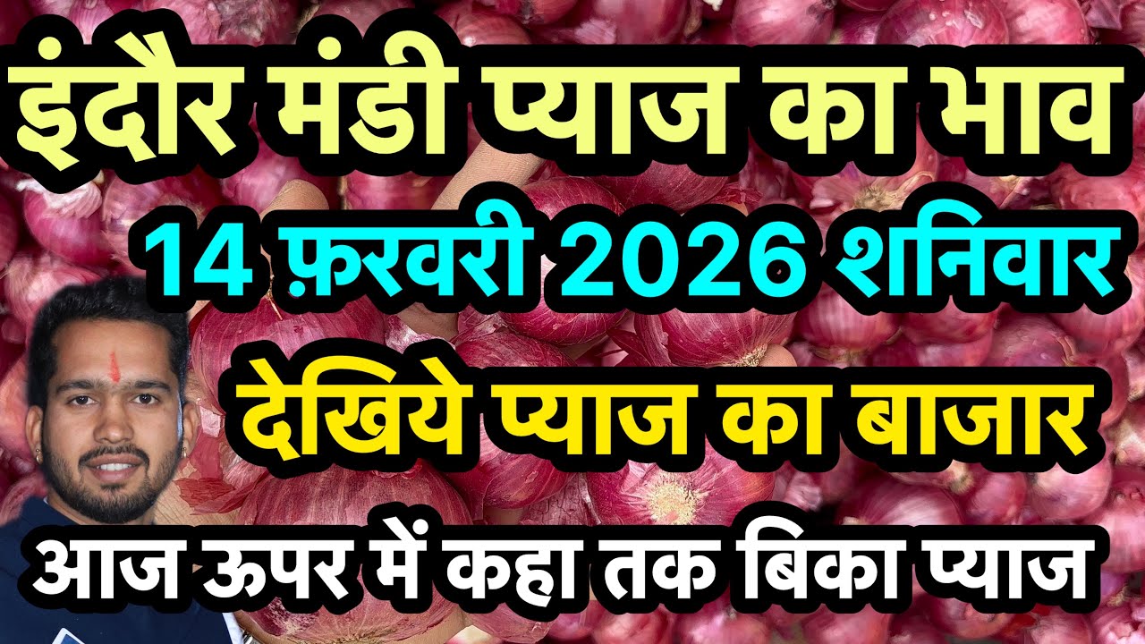 14 February 2026 indore Mandi pyaj ka bhav 