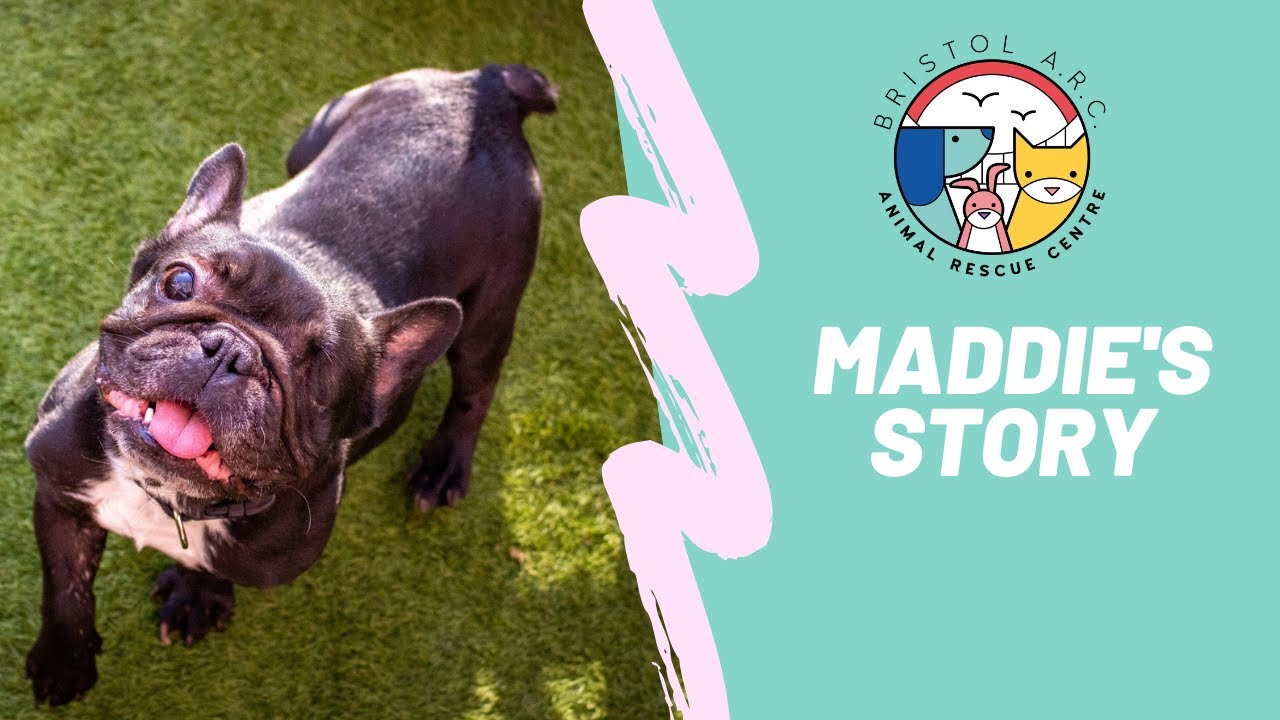 Maddie's Story