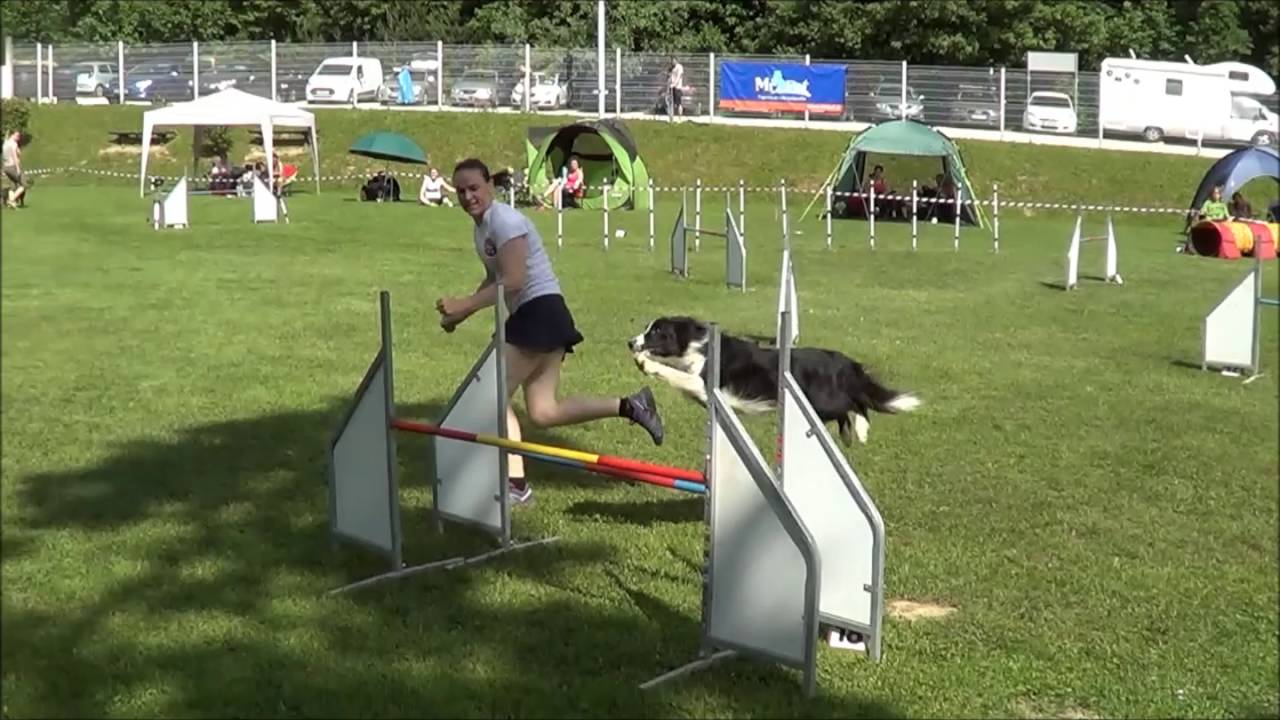 Spiridom High Voltage - AC @ Agility Weekend Kd Agility Ilirija