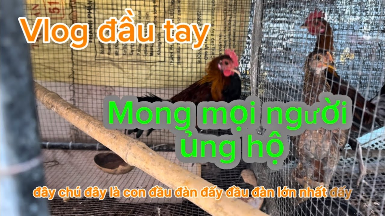 VLOG ĐẦU TAY , MONG MỌI NGƯỜI ỦNG HỘ Ạ 