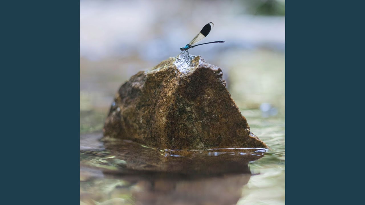 Dancing on the River (Nature Version)