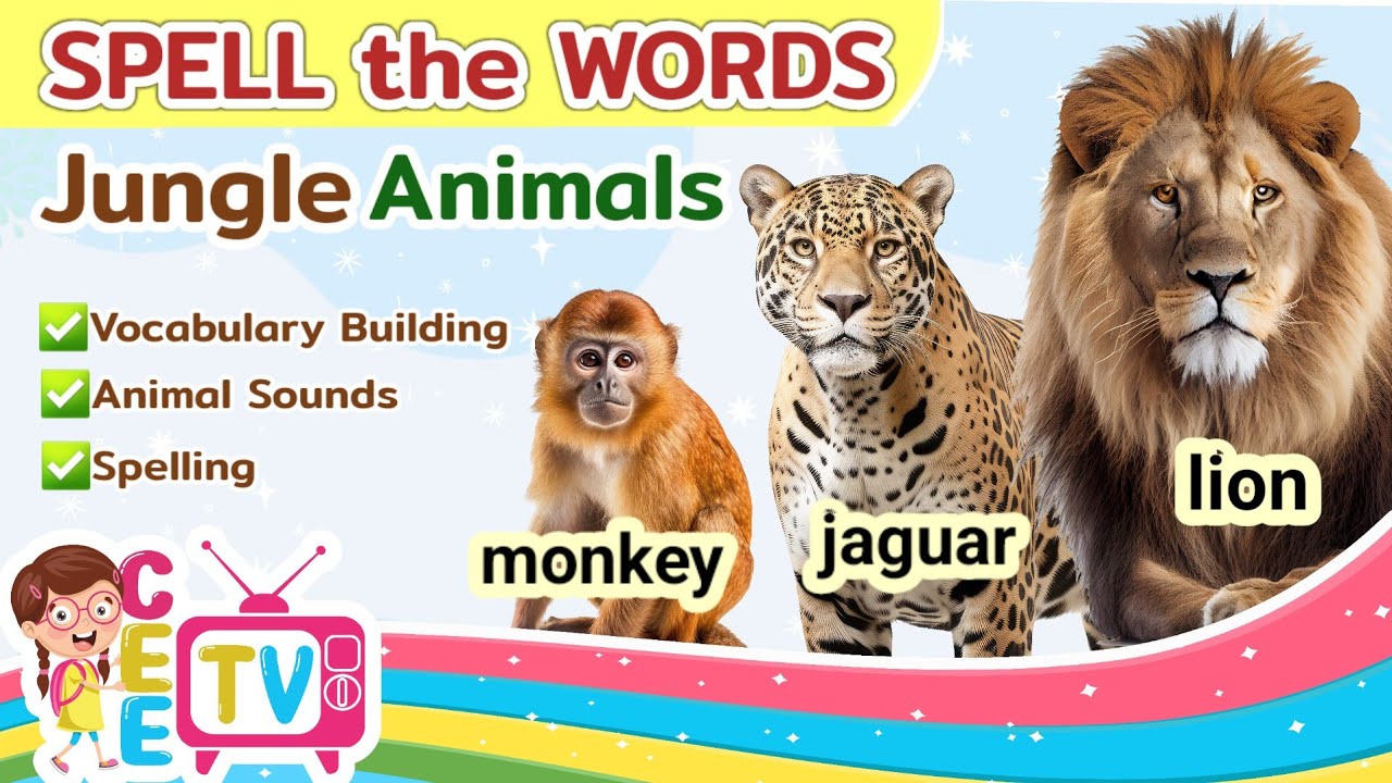 Jungle Animals | Animals Sounds | Spelling | Vocabulary for Toddlers, Preschool & Kindergarten Kids