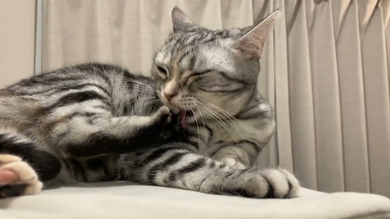 足のメンテナンス