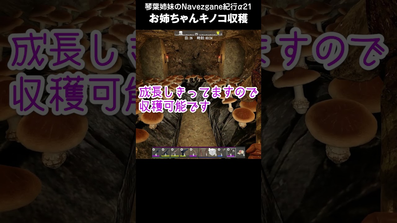 琴葉姉妹のNavezgane紀行α21　おまけ動画08 