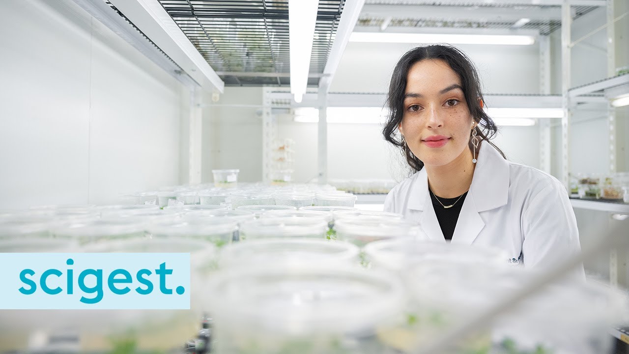 Using AI to help create new plant proteins (New Technologies podcast series)