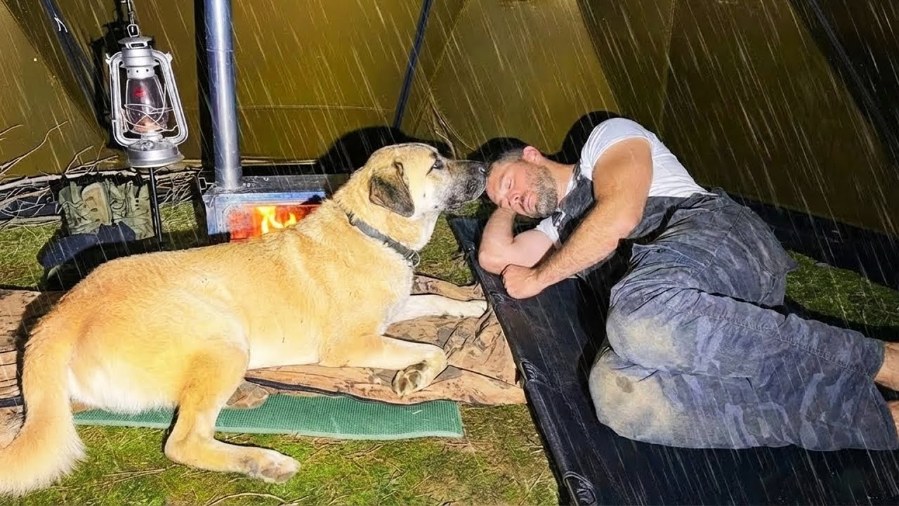 Camping in Heavy Rain and Thunderstorm! - Hot Tent Rain Camping with My Dog