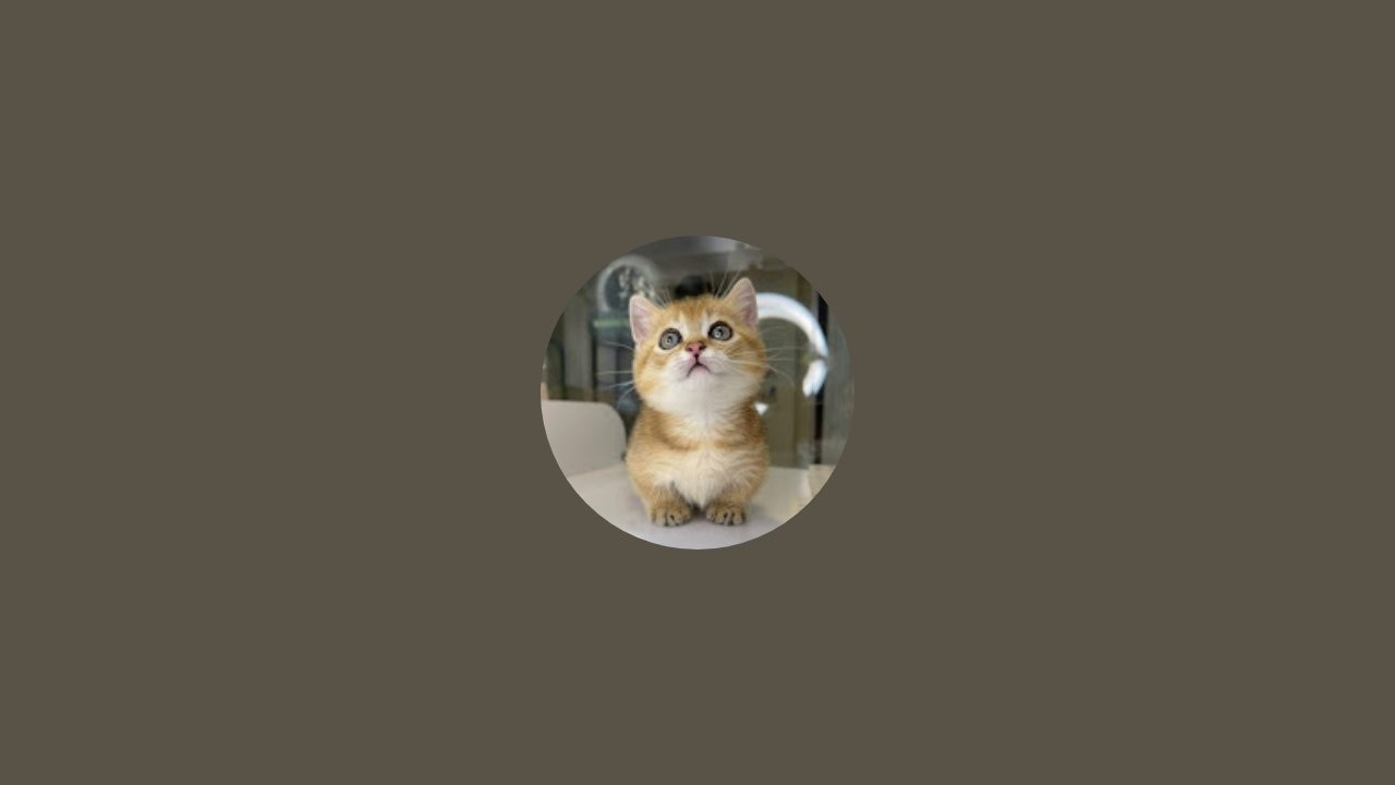 Amazing Video ! Famous & Cute Animals #long 