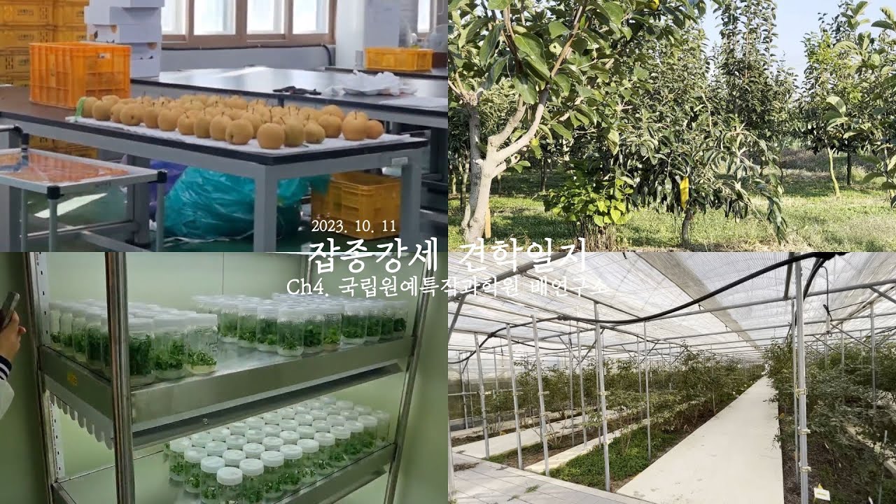 [잡종강세 견학일지] Ch4. 국립원예특작과학원 배연구소