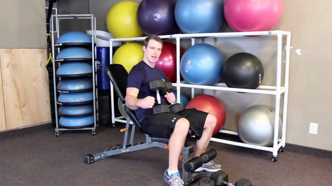 Wellki Strength Training Basics: Upper Body Workout