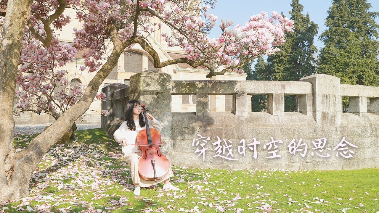 大提琴 Cello《犬夜叉》穿越时空的思念丨时を越える思い チェロ