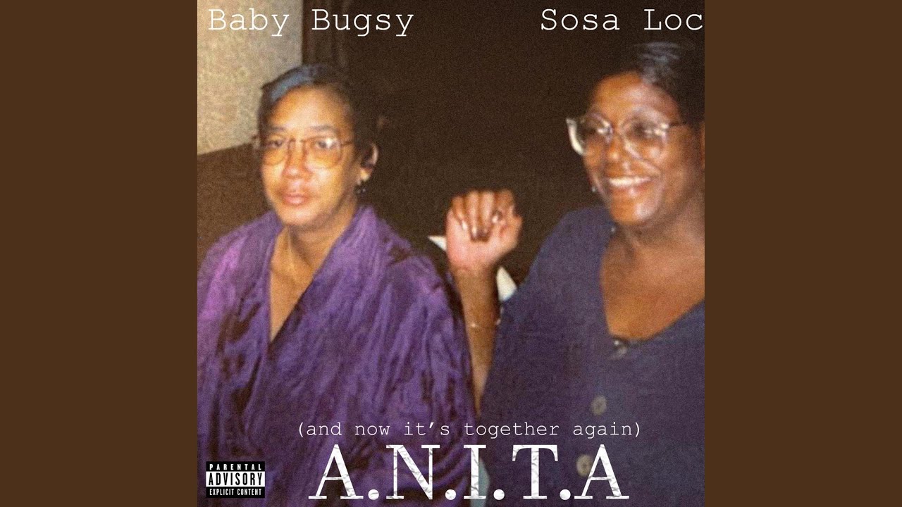 A.N.I.T.A. (feat. SOSA LOC)