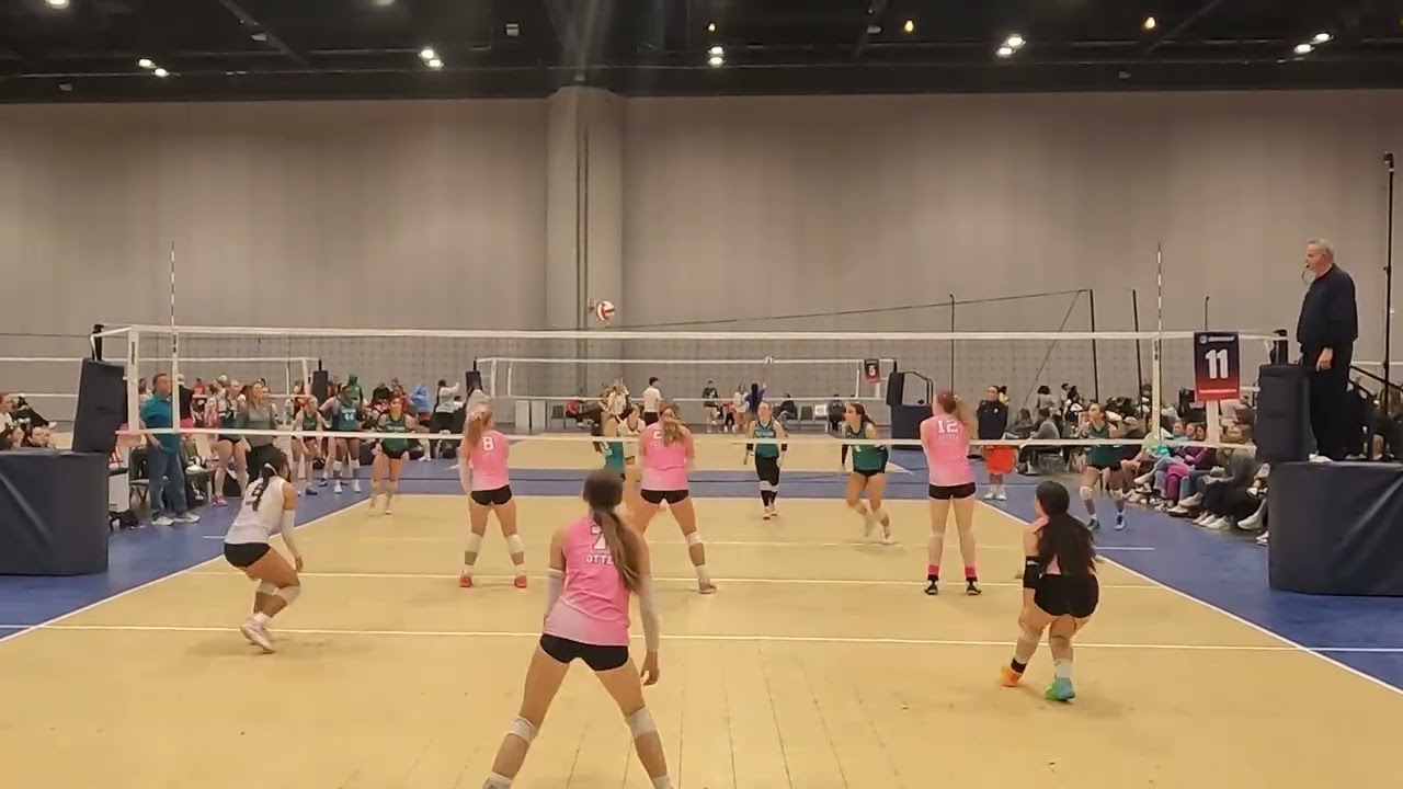 WPVC 18AO Florida Fest 01-25-26 Highlights