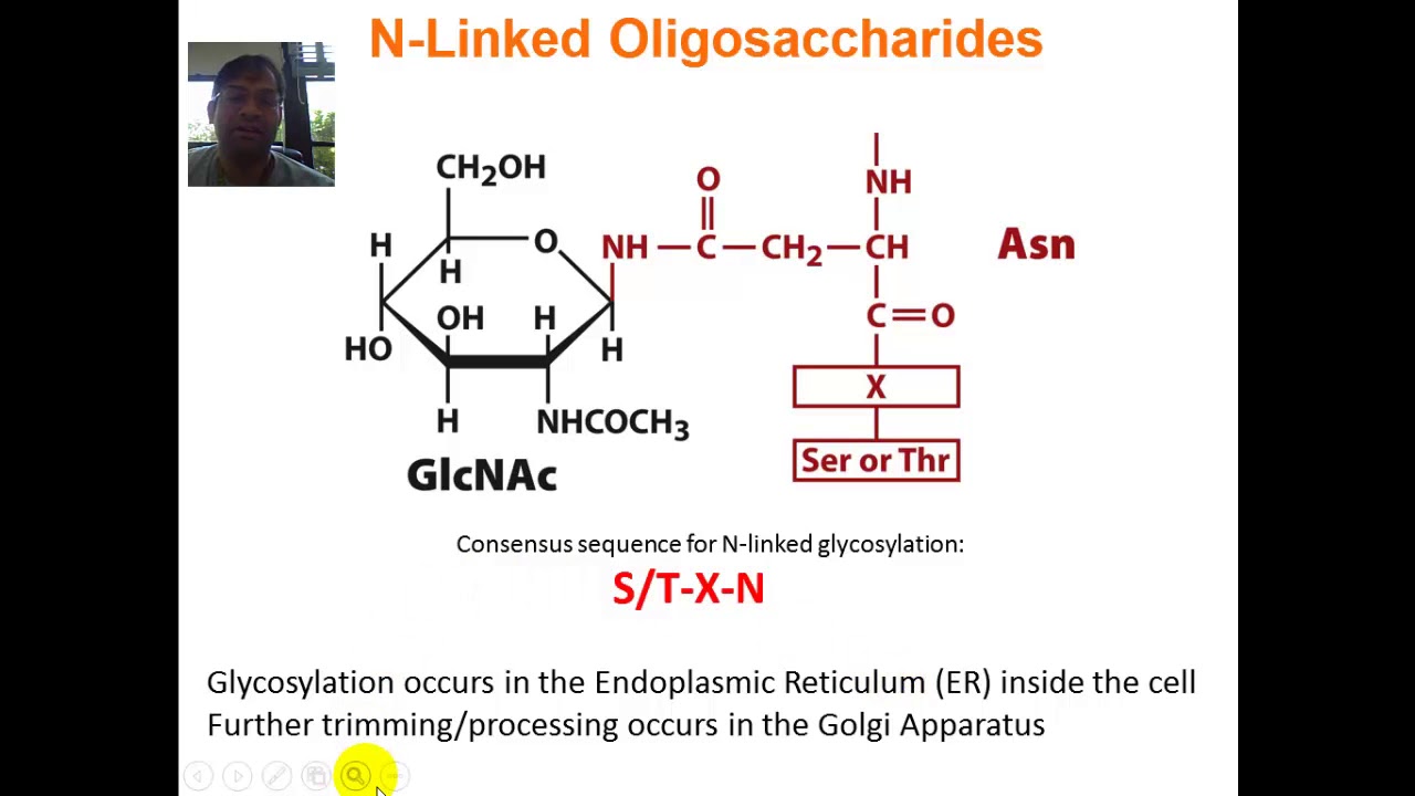 Glycoproteins