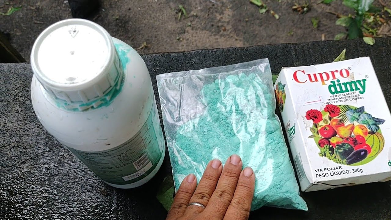 Como eu uso o sulfato de cobre Cupro Dimmy no coentro.