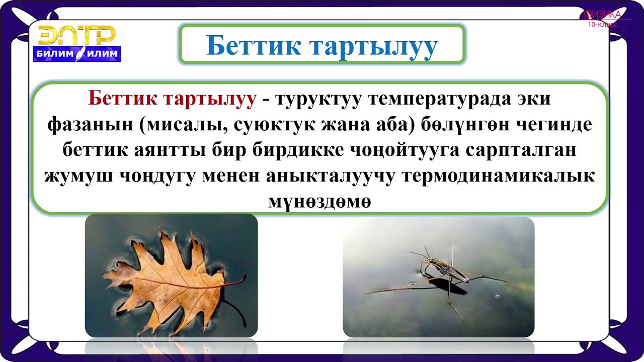 10-класс | Физика  | Суюктуктар жана беттик тартылуу коэффиценти