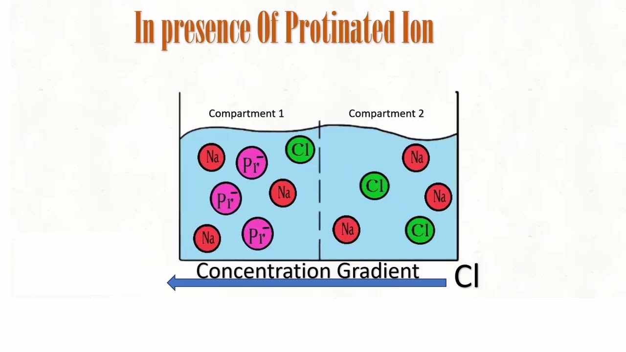 DONNAN MEMBRANE EQUILIBRIUM