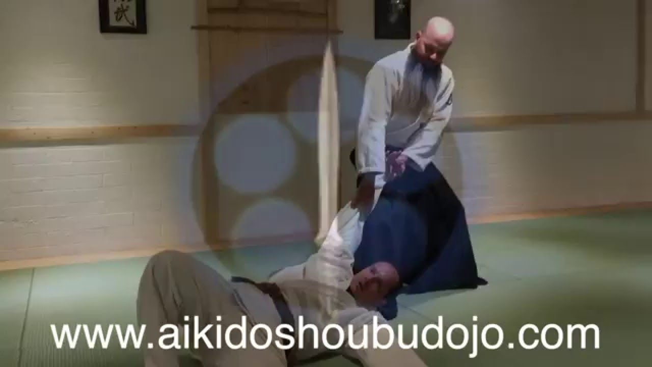 Aikido Shoubu Dojo Tenshin Dojo Cody Lewallen