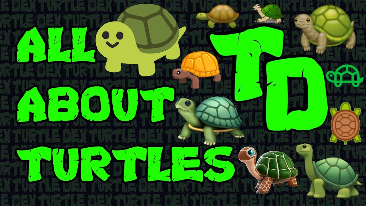 Turtle Dex - Channel Introduction (Old version)