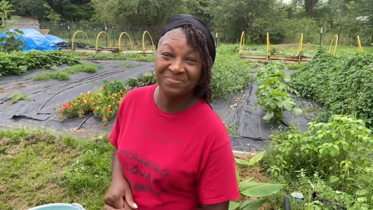The Easiest Way To Protect The Soil During The Heat